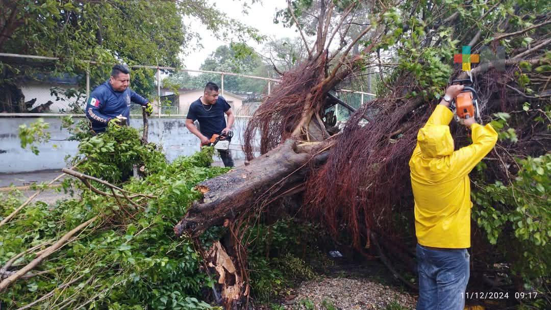 Algunas afectaciones por viento del FF 14 y navegación cerrada en Coatzacoalcos