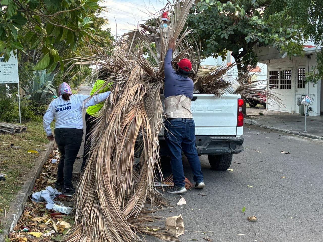 Caída de árboles, postes y ramas en región Veracruz-Boca del Río por vientos de frente frío