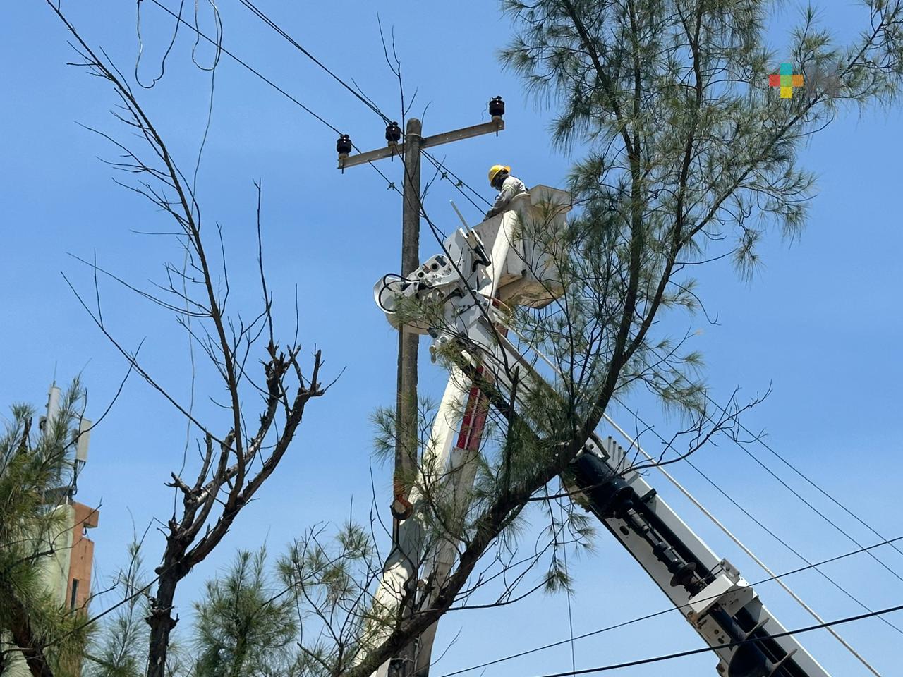 CFE concluyó cambio de 600 postes de energía eléctrica en Coatzacoalcos