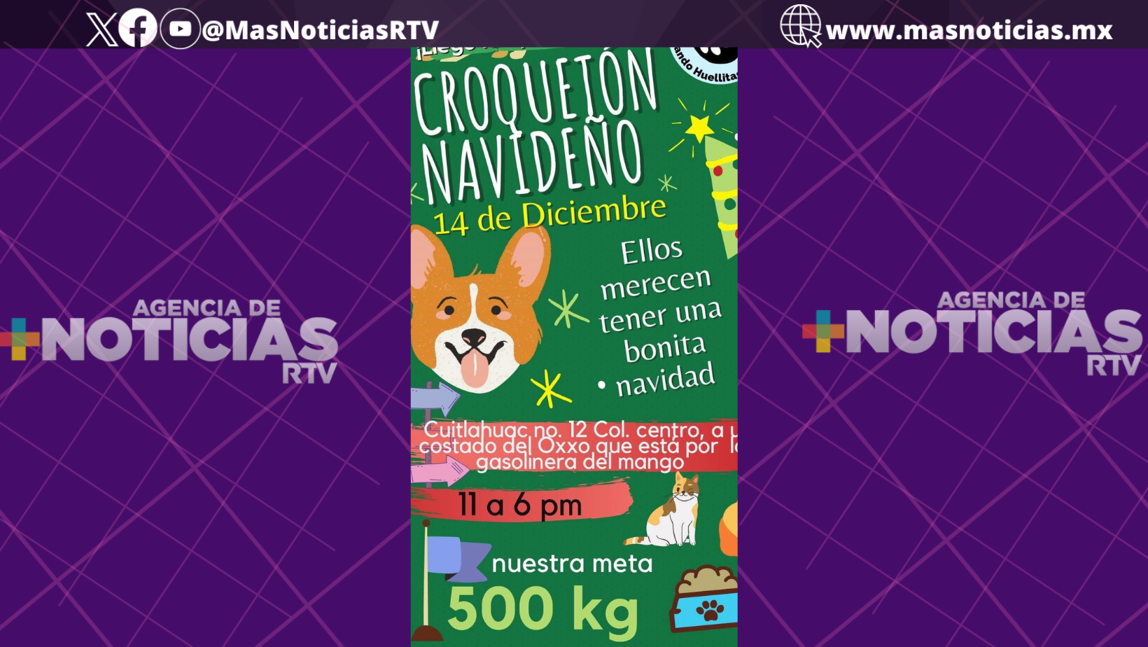 Salvando Huellitas Minatitlán realizará croquetón navideño con causa