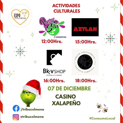 Próximo 7 de diciembre, Casino Xalapeño inaugurará expo-Colmena de Invierno 2024