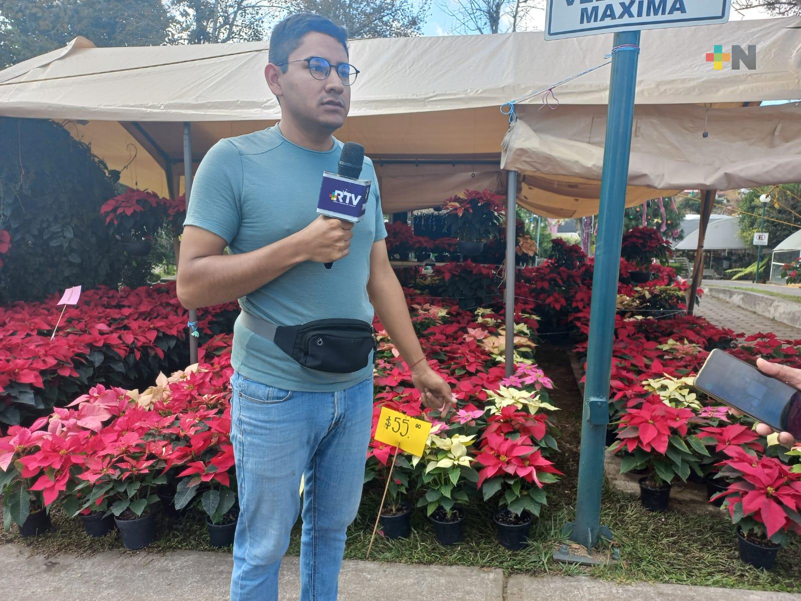 Variedad de flor de Nochebuena se hacen presente en parque Doña Falla