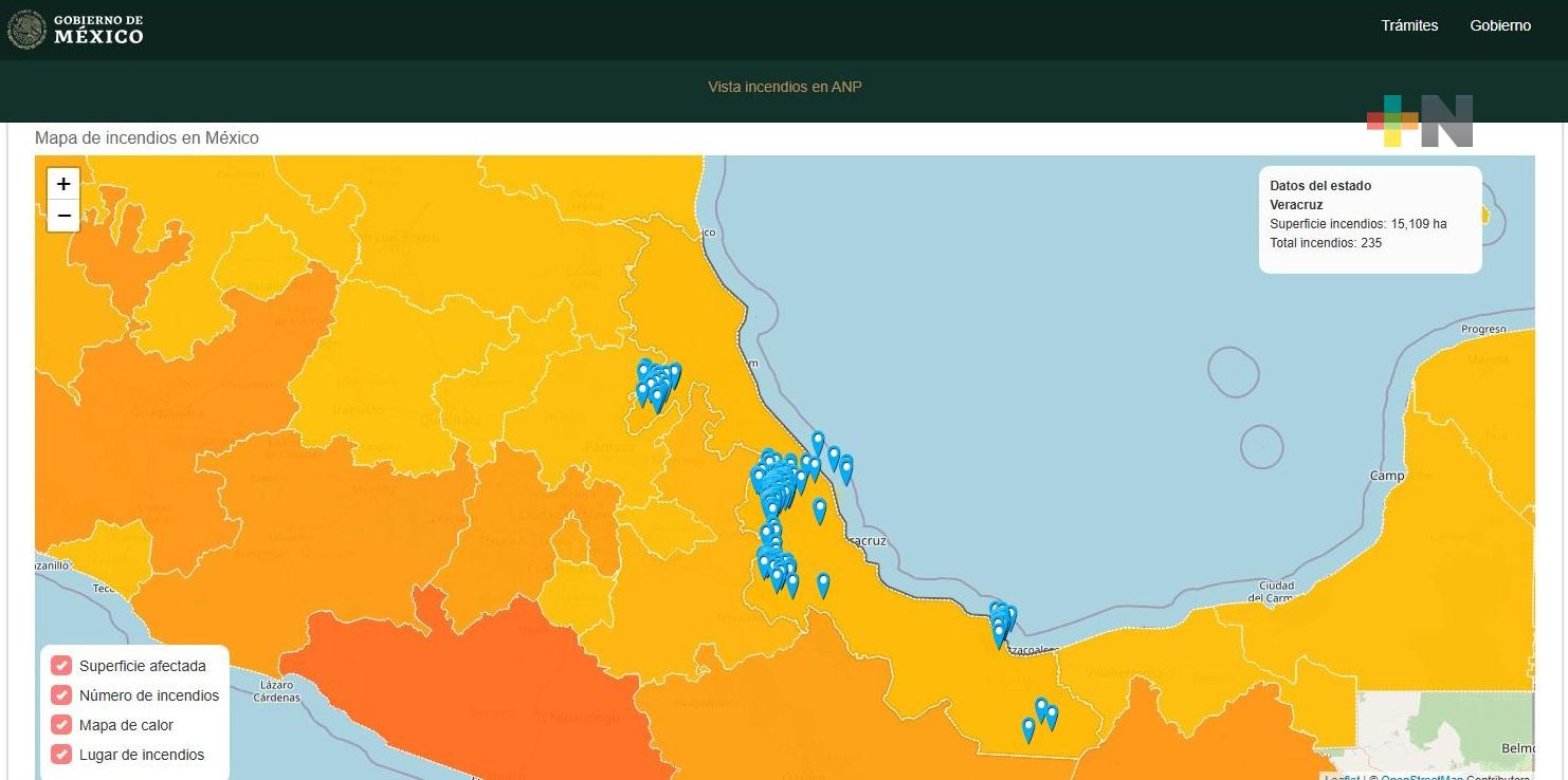 Veracruz ocupó en 2024 lugar 11 en número de incendios y 18 en área afectada