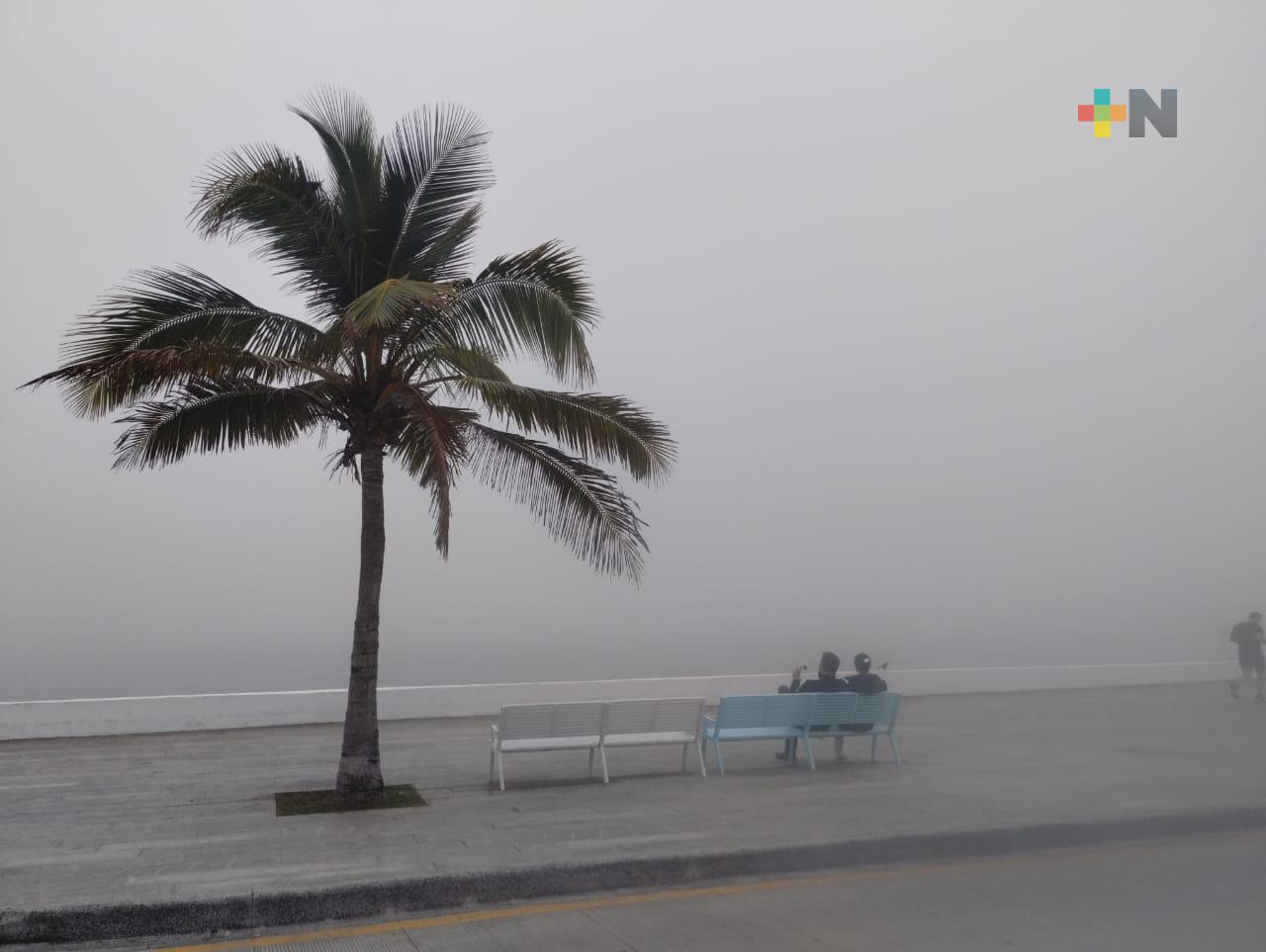 Zona conurbada Veracruz-Boca del Río amanece con densa niebla