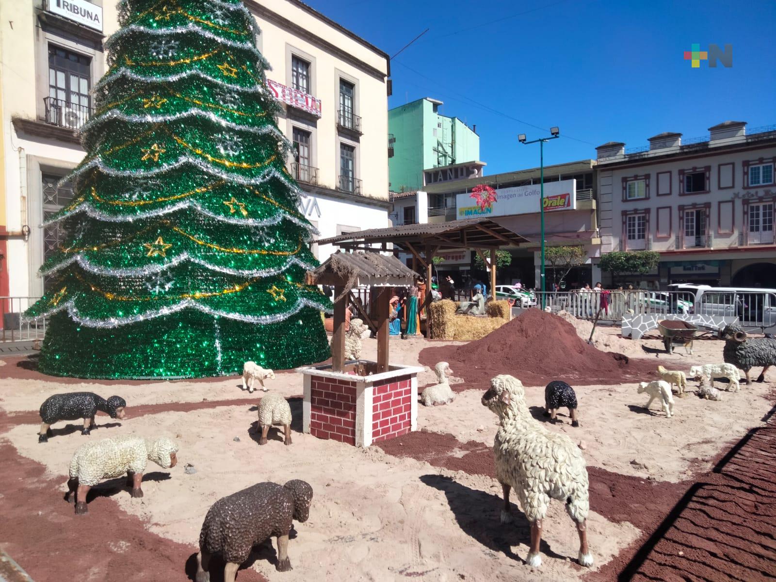 Colocan nacimiento y pino navideño en plaza Lerdo de Xalapa