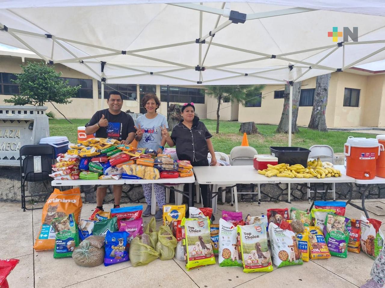 “Pijamas Run” evento para recolectar croquetas en Coatzacoalcos