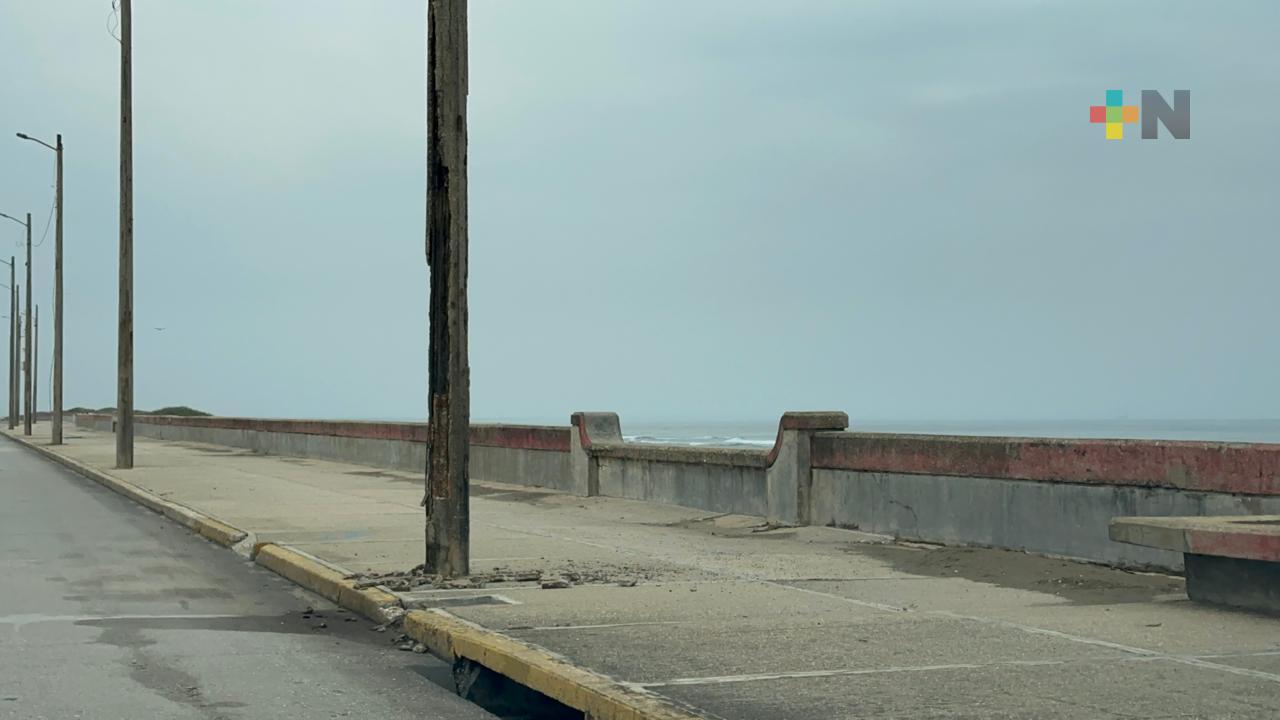 Habitantes de Coatza señalan malas condiciones de postes que los convierten en riesgo