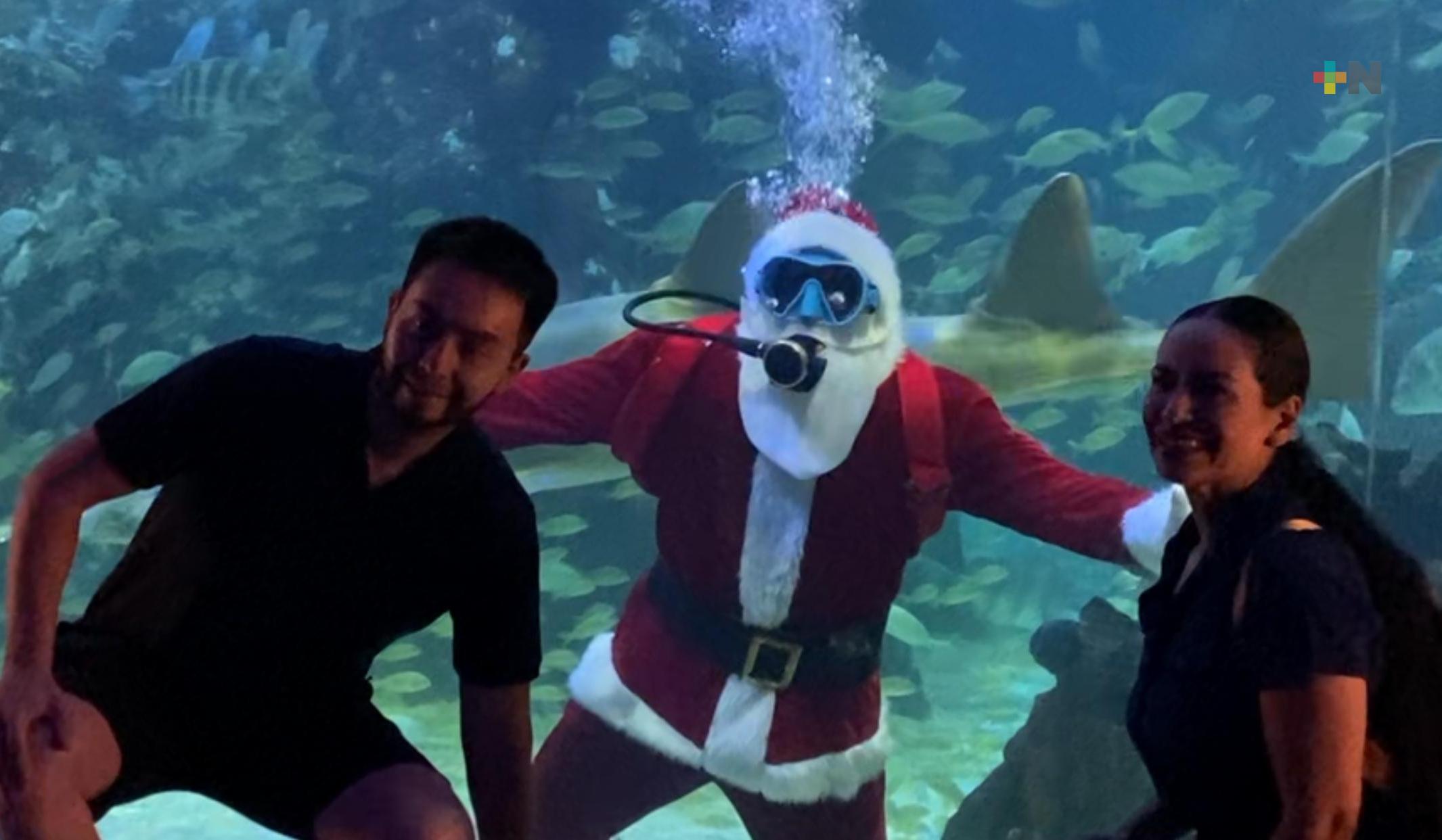 Santa Claus se sumerge en pecera del Aquarium del Puerto de Veracruz