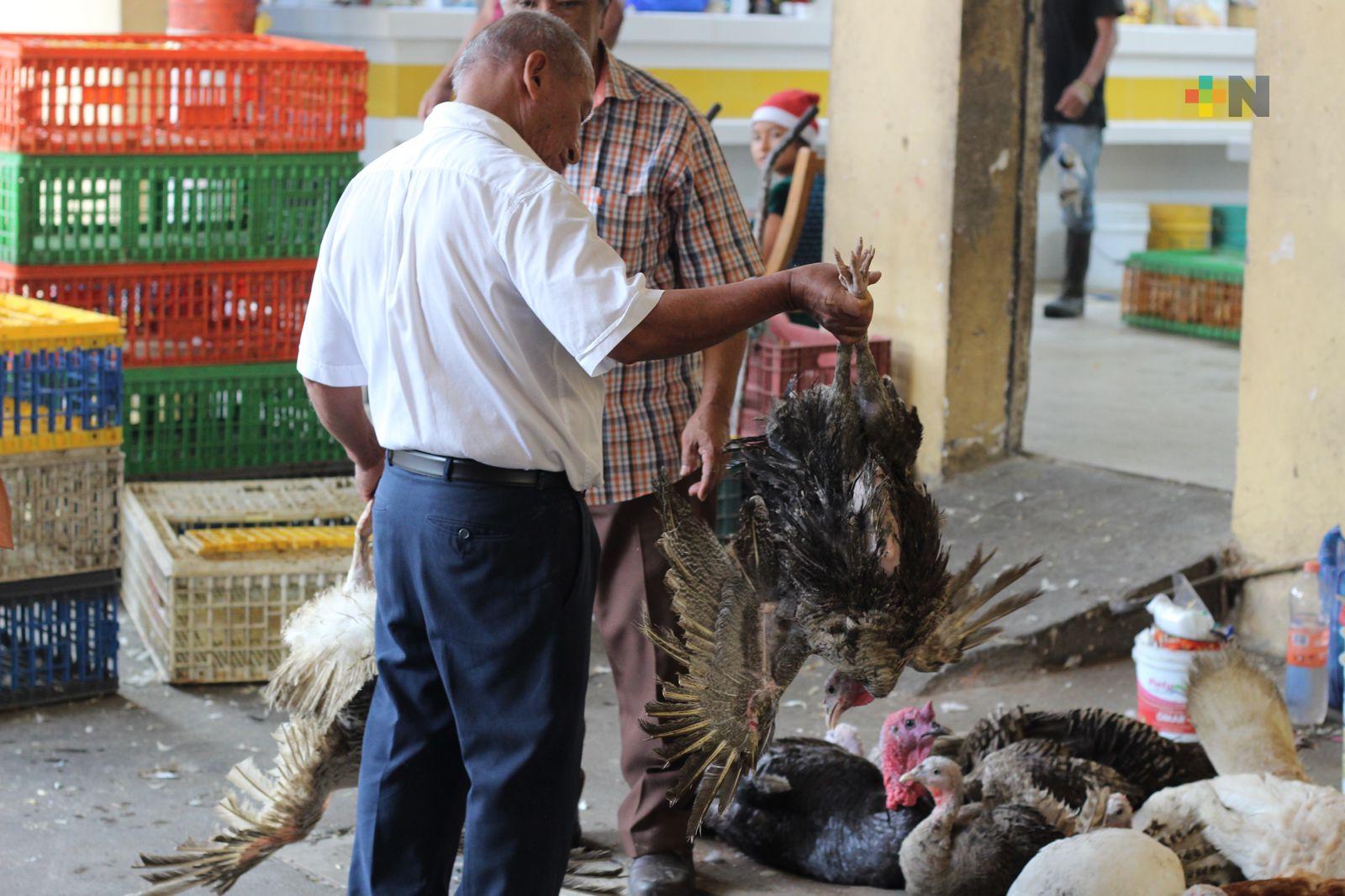 Venta de pavos vivos continúan disminuyendo año tras año