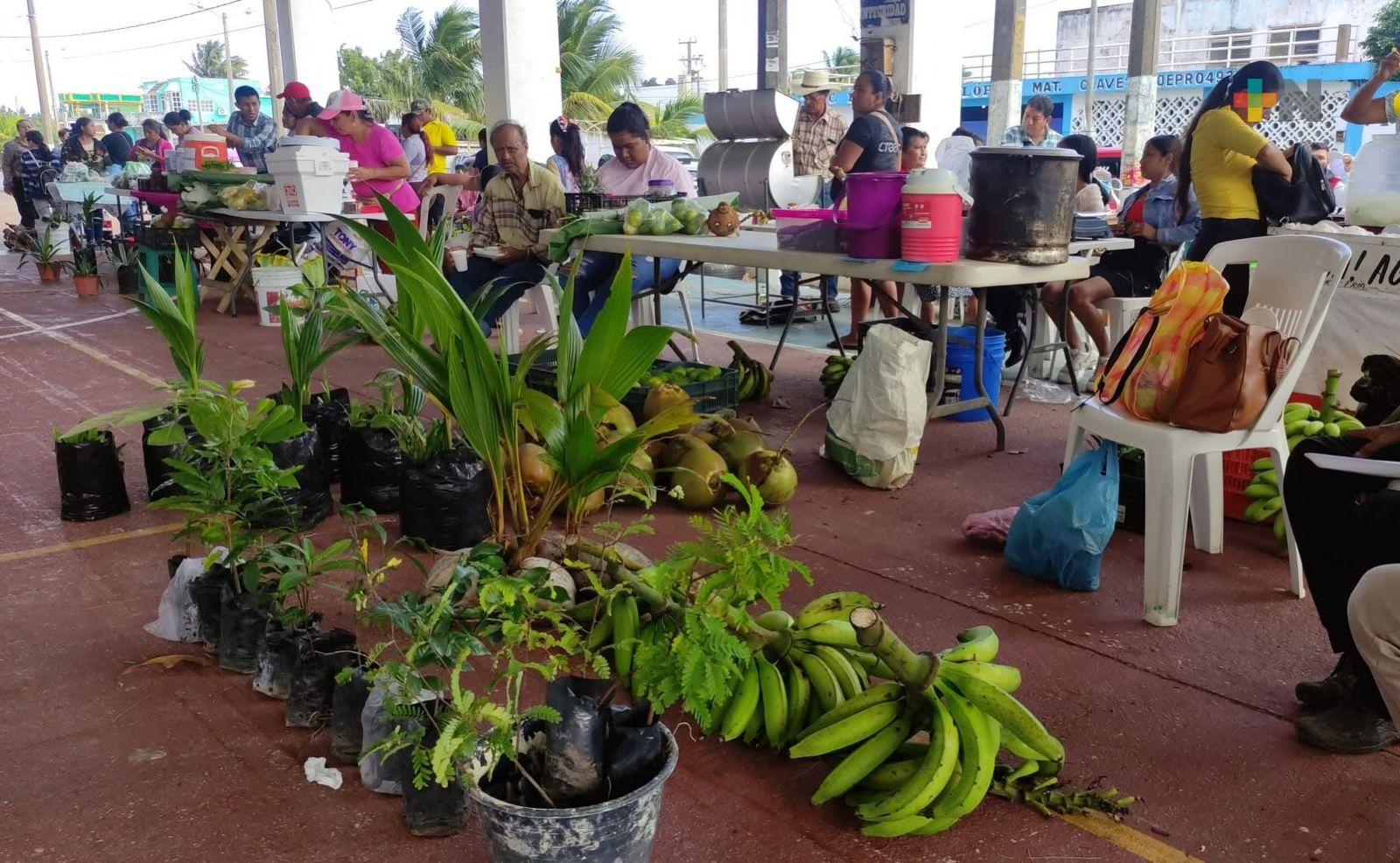 Productores del programa Sembrando Vida participan en feria de Villa Allende