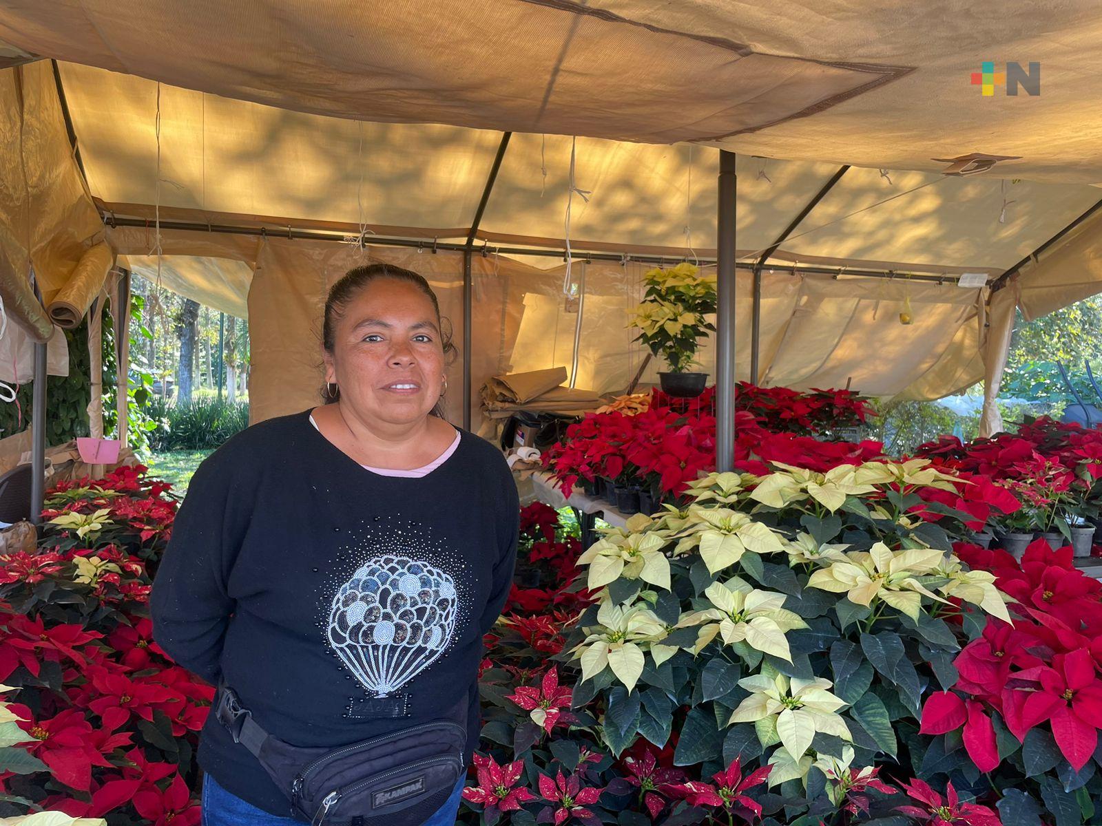 Productores de Nochebuena reportan buena venta en la temporada