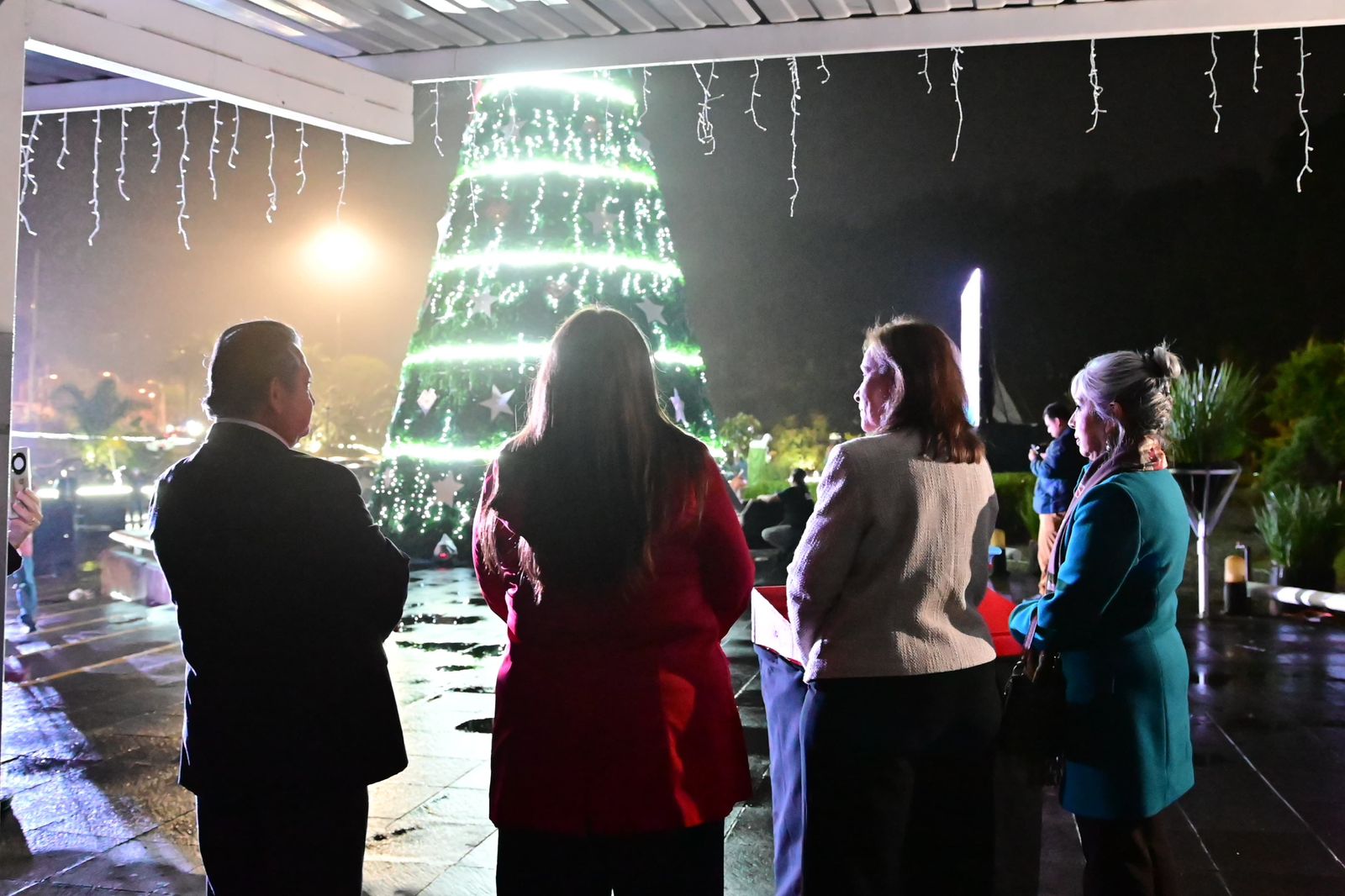 Rocío Nahle encabeza el encendido del árbol navideño del DIF