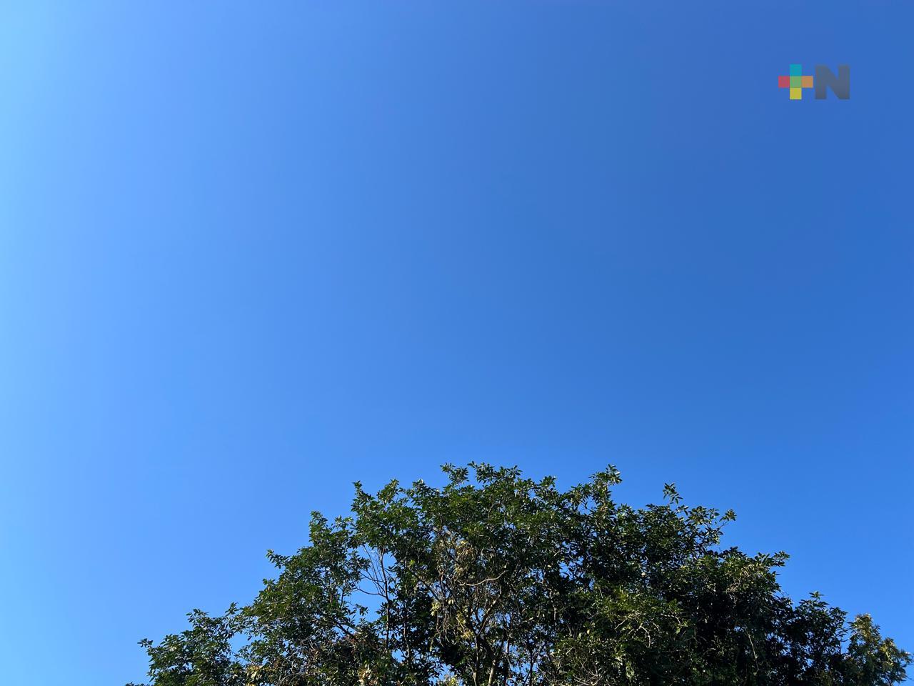 Cielo mayormente despejado, probables nieblas o neblinas por la tarde noche