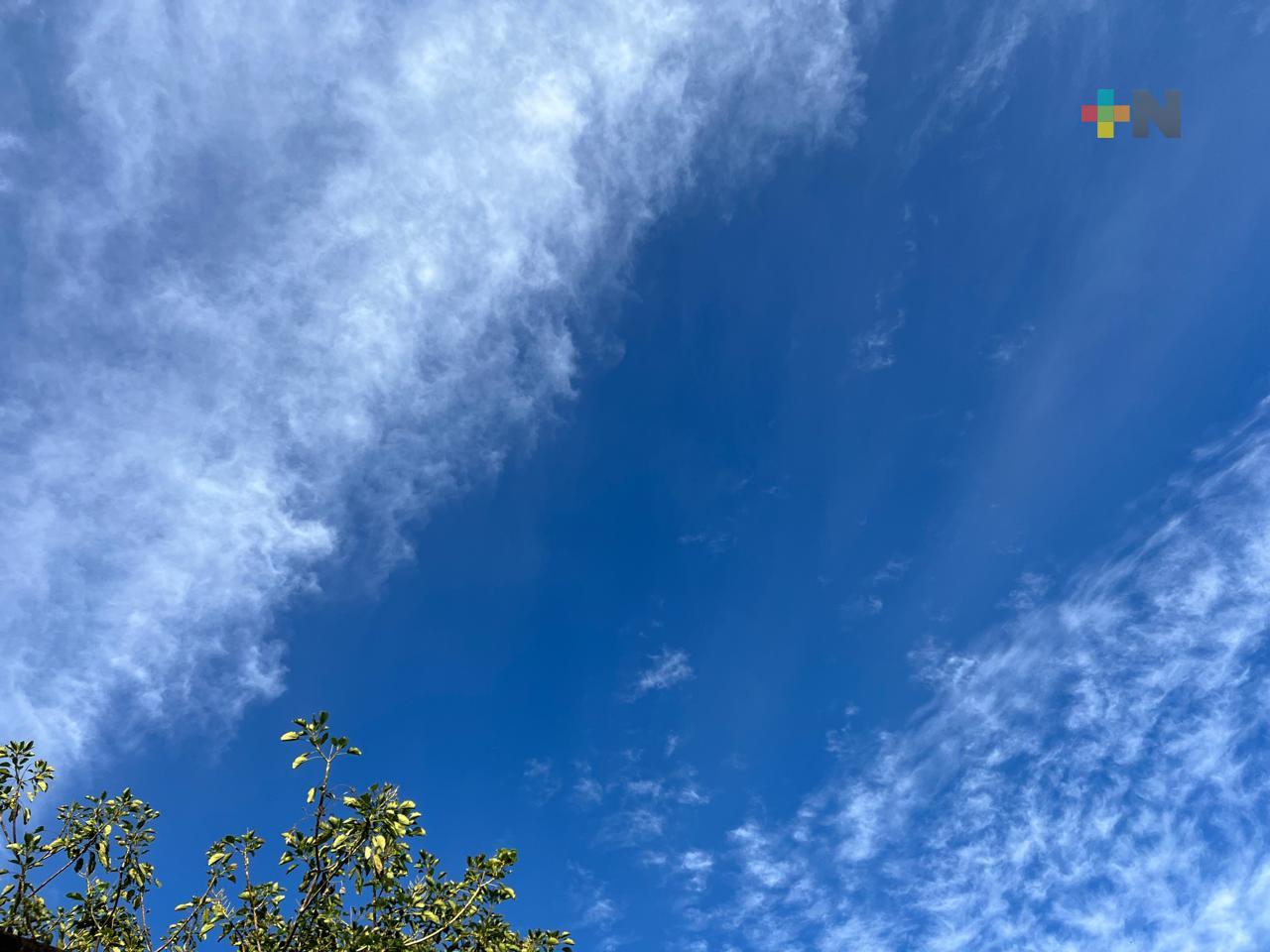 Cielo despejado a medio nublado con probables nieblas o neblinas por la tarde noche