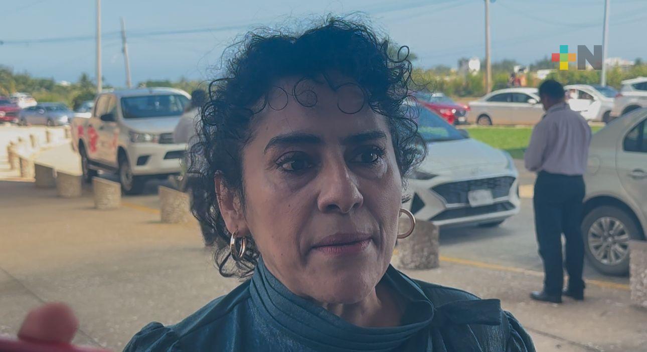 Unidad de quemados en Veracruz recibirá a menor lesionado de zona rural de Mina