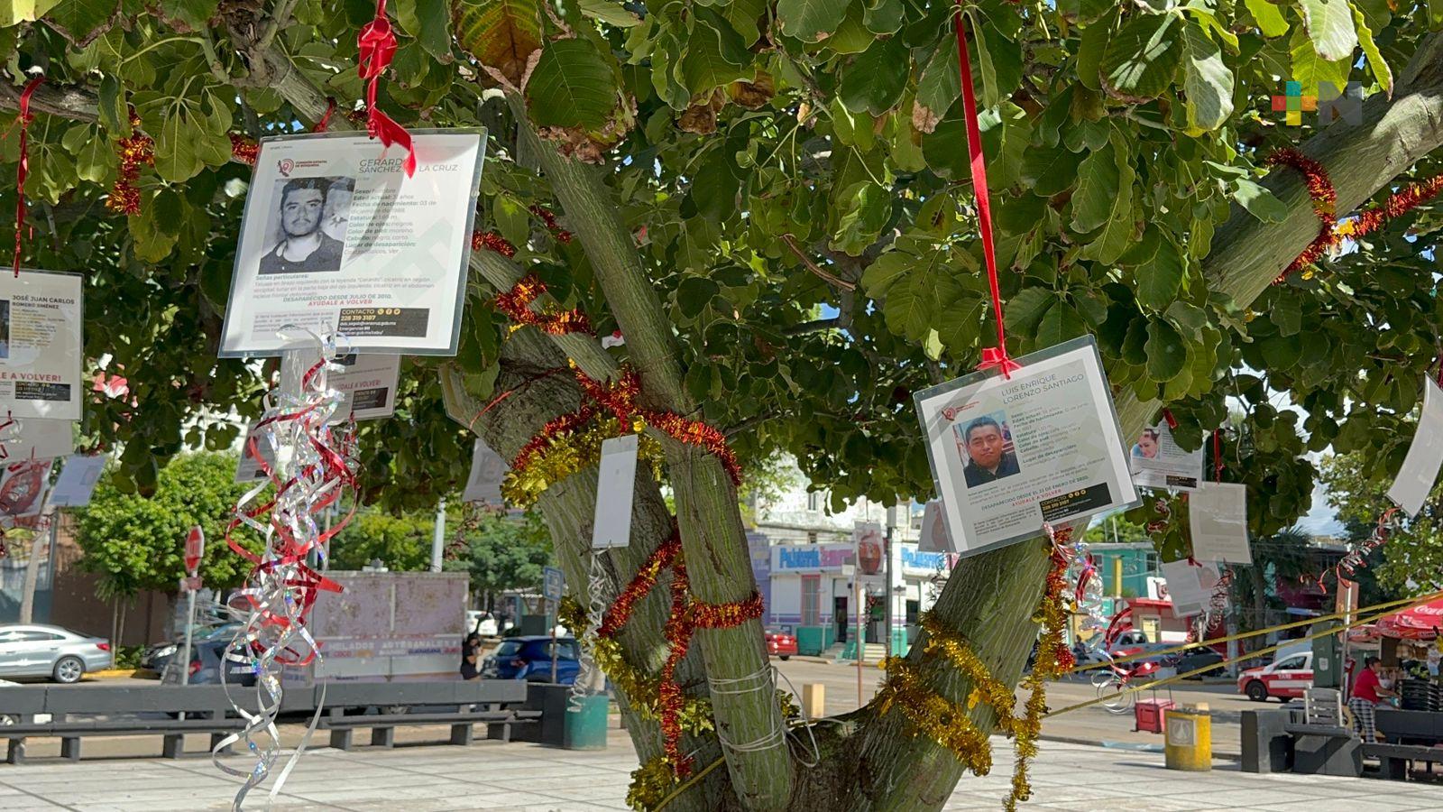 En Coatza, árbol es adornado con esferas de personas desaparecidas