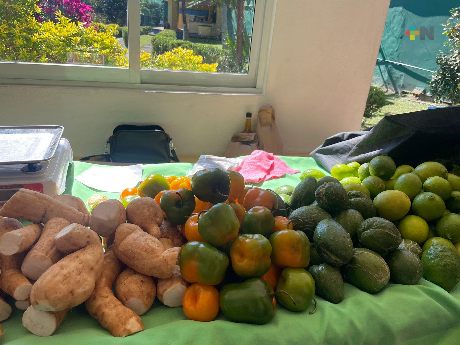 Aumentó el número de expositores en el tianguis Agroecológico