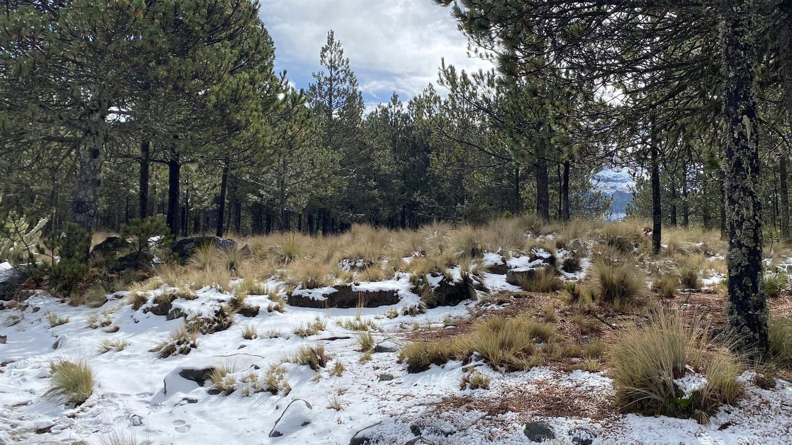 Ante frentes fríos, recomiendan evitar exponerse a cambios bruscos de temperatura