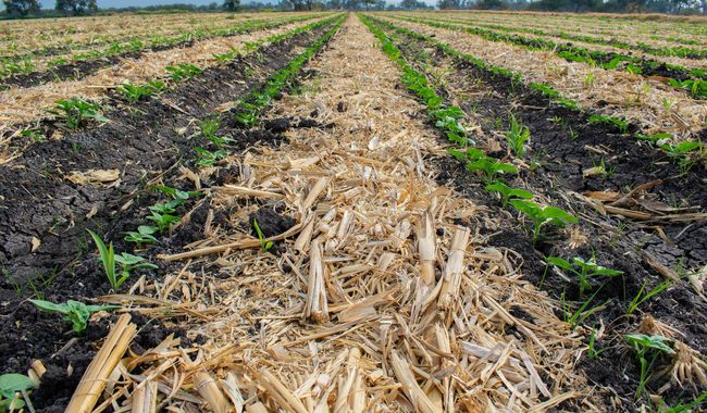 Llaman a no realizar quemas agropecuarias en temporada invernal