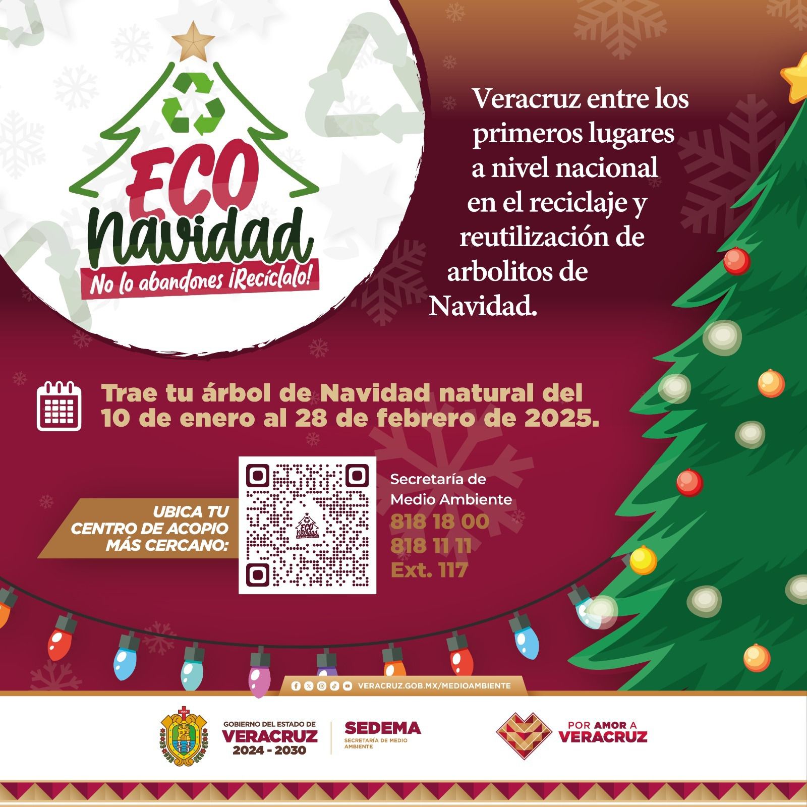 No lo abandones recicla tu arbolito; tienes hasta el 28 de febrero: Sedema