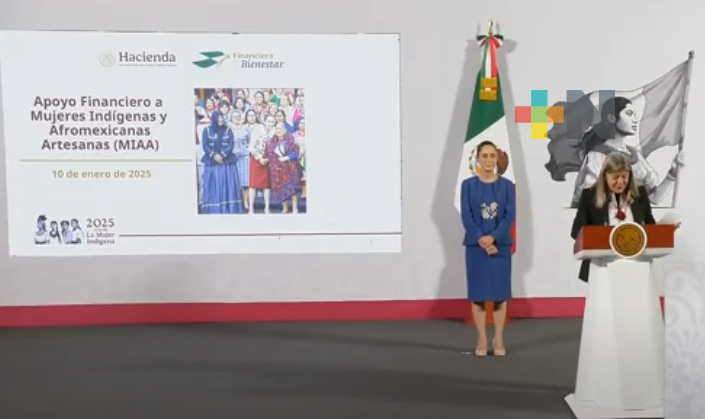 Artesanas indígenas y afromexicanas serán apoyadas con programa específico: Presidenta