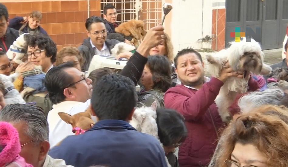 En iglesias de Xalapa realizan bendición de mascotas
