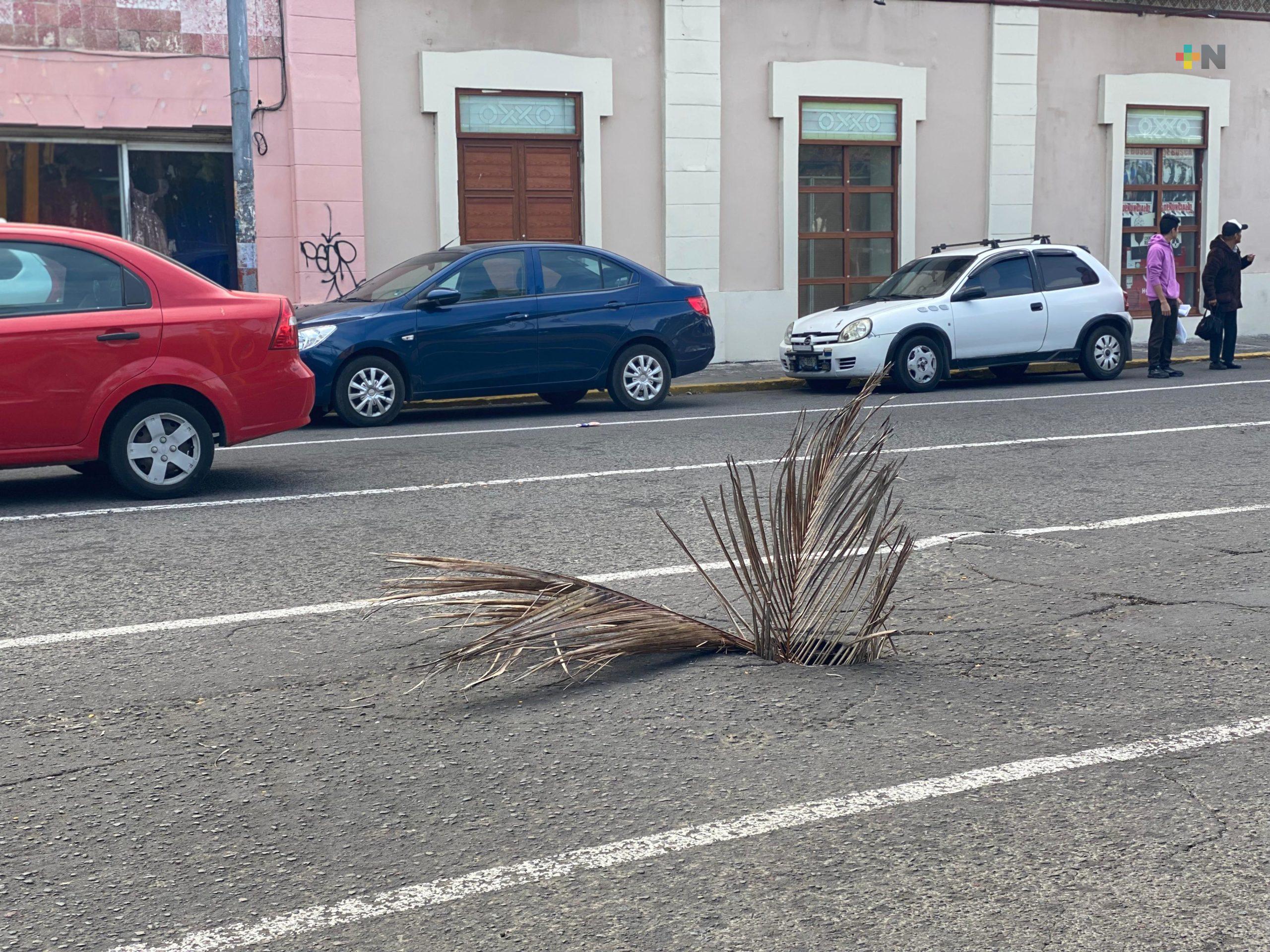 Reportan otro hundimiento en calle del centro de Veracruz