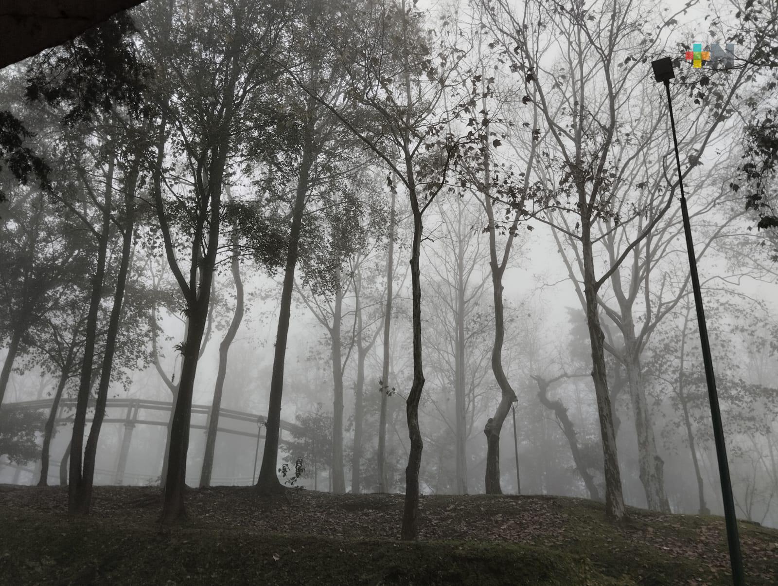 NOAA confirma la presencia de evento de La Niña: SPC