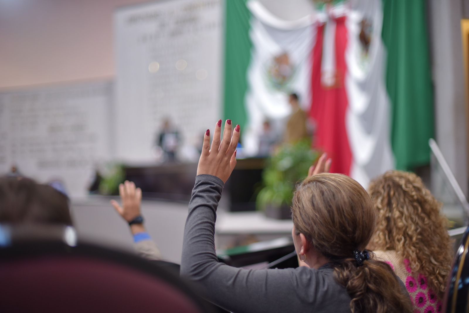 Integran Comité de Evaluación para elección judicial