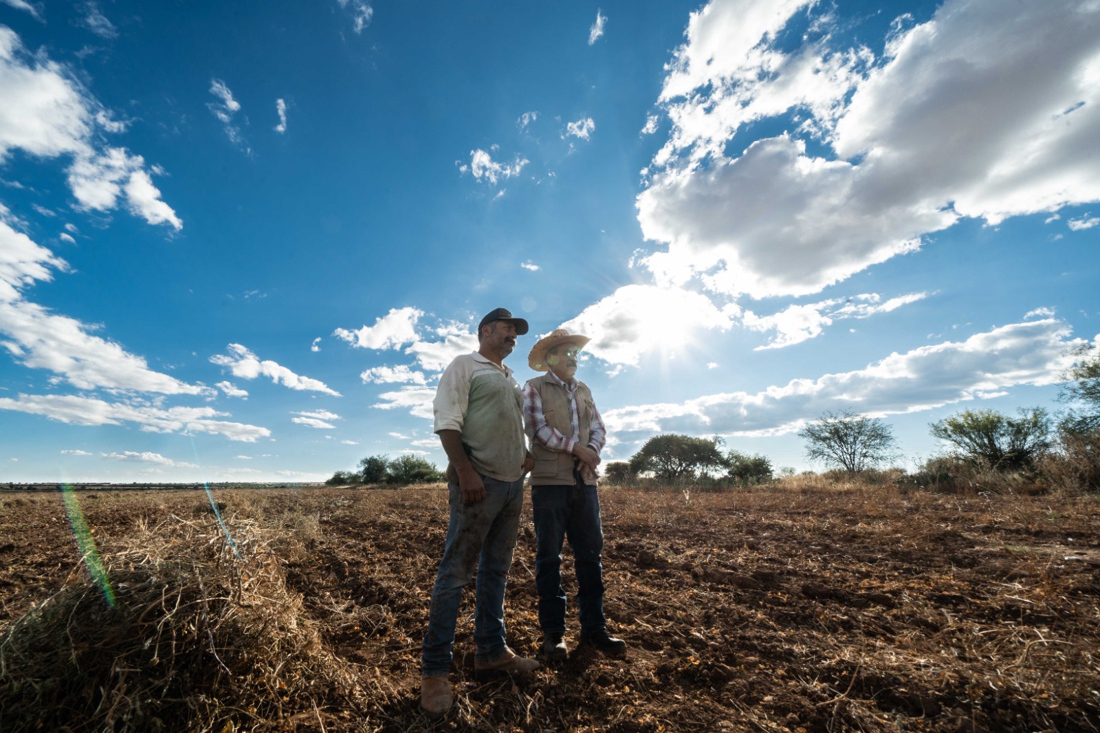 Escuelas de Campo, elemento fundamental en la transición agroecológica
