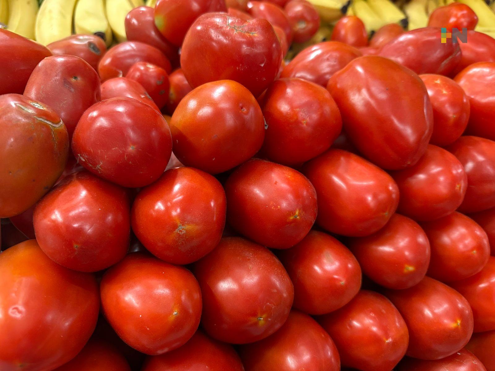 En Coatzacoalcos se mantienen precios en algunas verduras