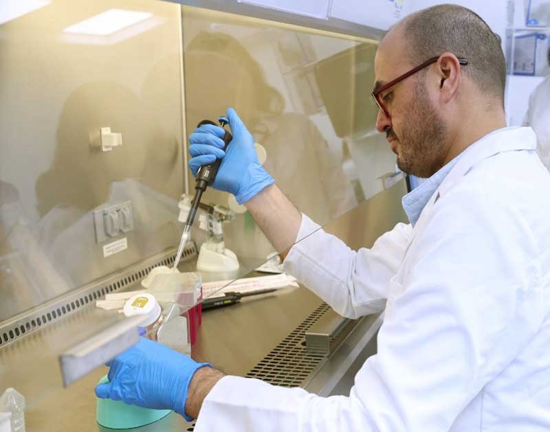 Metapneumovirus es un virus estacional y no representa riesgo global