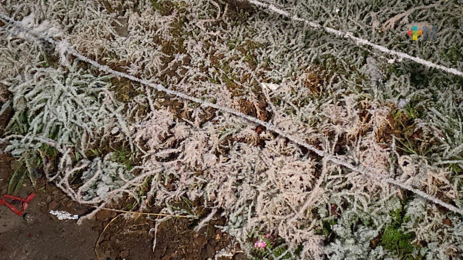 Temperatura de -3 grados en Las Vigas por primera nevada