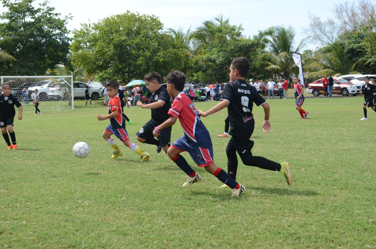 En la recta final de la preparación de la selección Oropeza para el estatal 2016