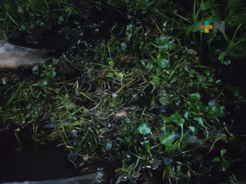 Aparecen manchas de hidrocarburo en río Coatzacoalcos; pescadores temen baje la pesca