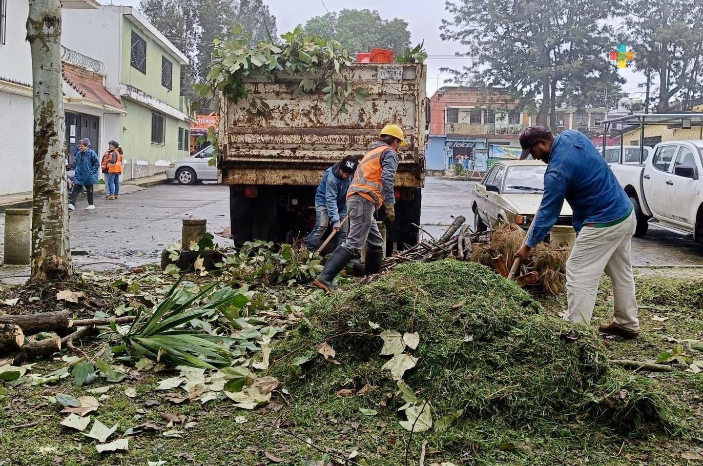 Municipio de Xalapa y ciudadanos pueden trabajar juntos para separar basura