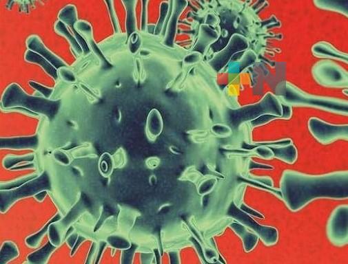 Metapneumovirus que produce cuadro respiratorio no es amenaza grave