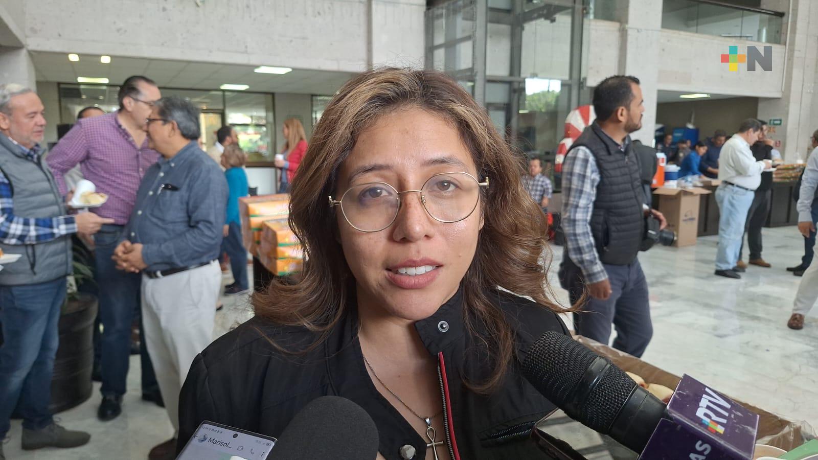 Presupuesto para OPLE Veracruz ya considera elección municipal y del Poder Judicial