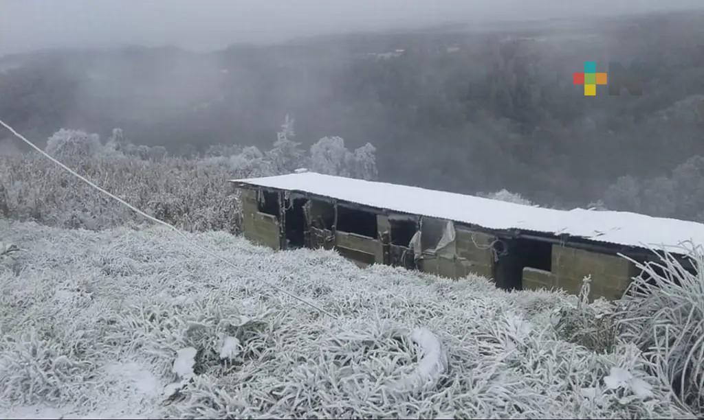 Temperatura ambiente subirá poco a poco; fin de semana con heladas en zonas altas