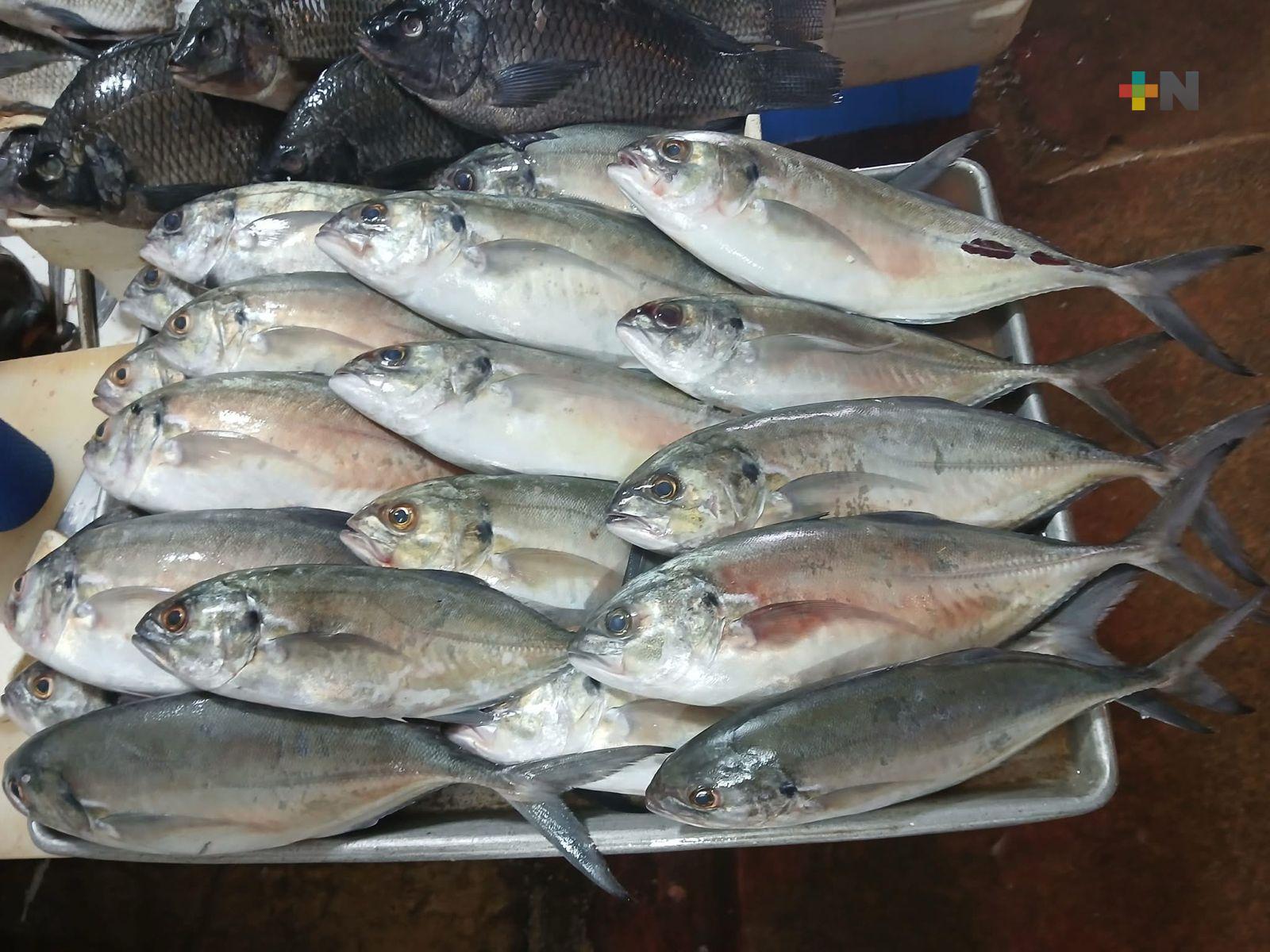 Comerciantes de pescado y marisco de Coatza esperan que ventas al menos se mantengan estables