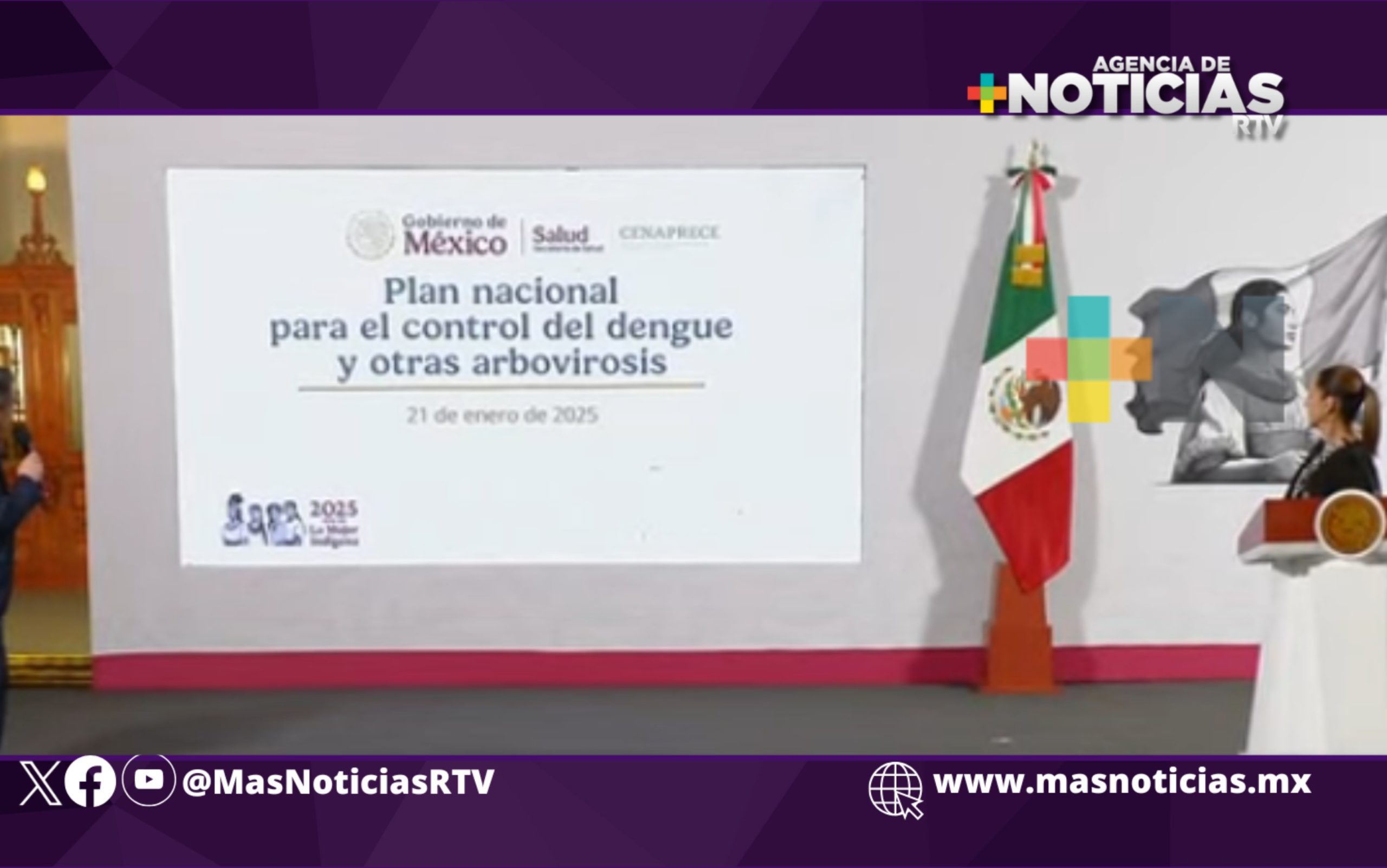 Presentan Plan Nacional para control del Dengue