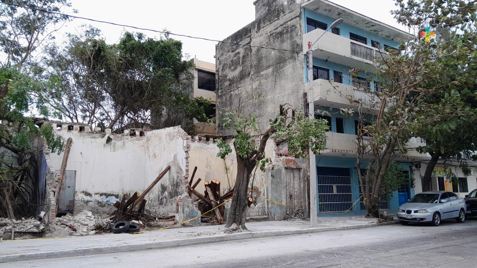 Sin energía eléctrica por caída de árbol en edificio de Veracruz puerto; piden se atienda el problema