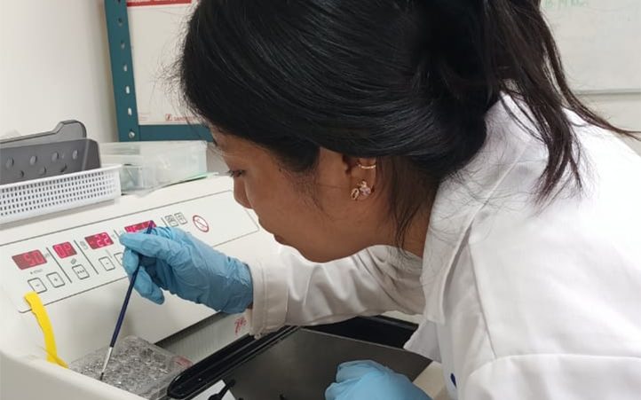 UV estudia flavonoides como posible terapia ansiolítica en menopausia
