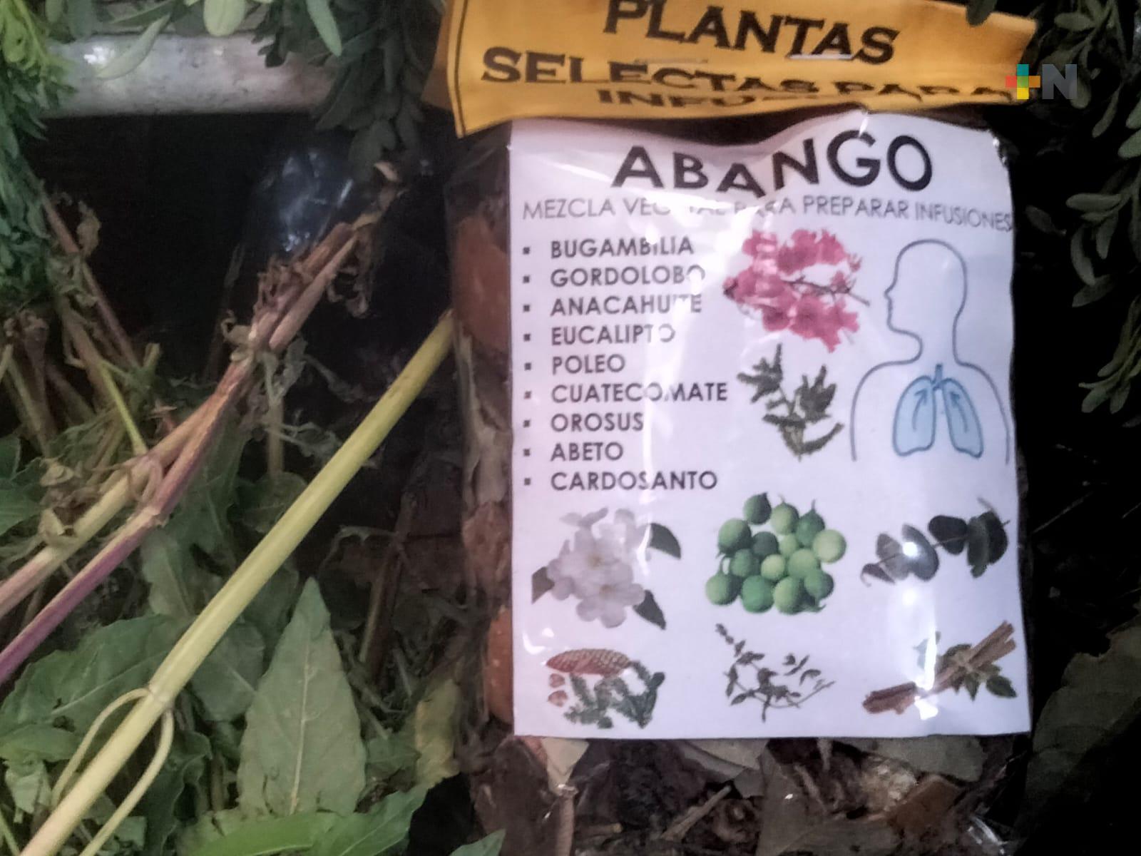 Xalapeños buscan plantas medicinales para tratar enfermedades respiratorias