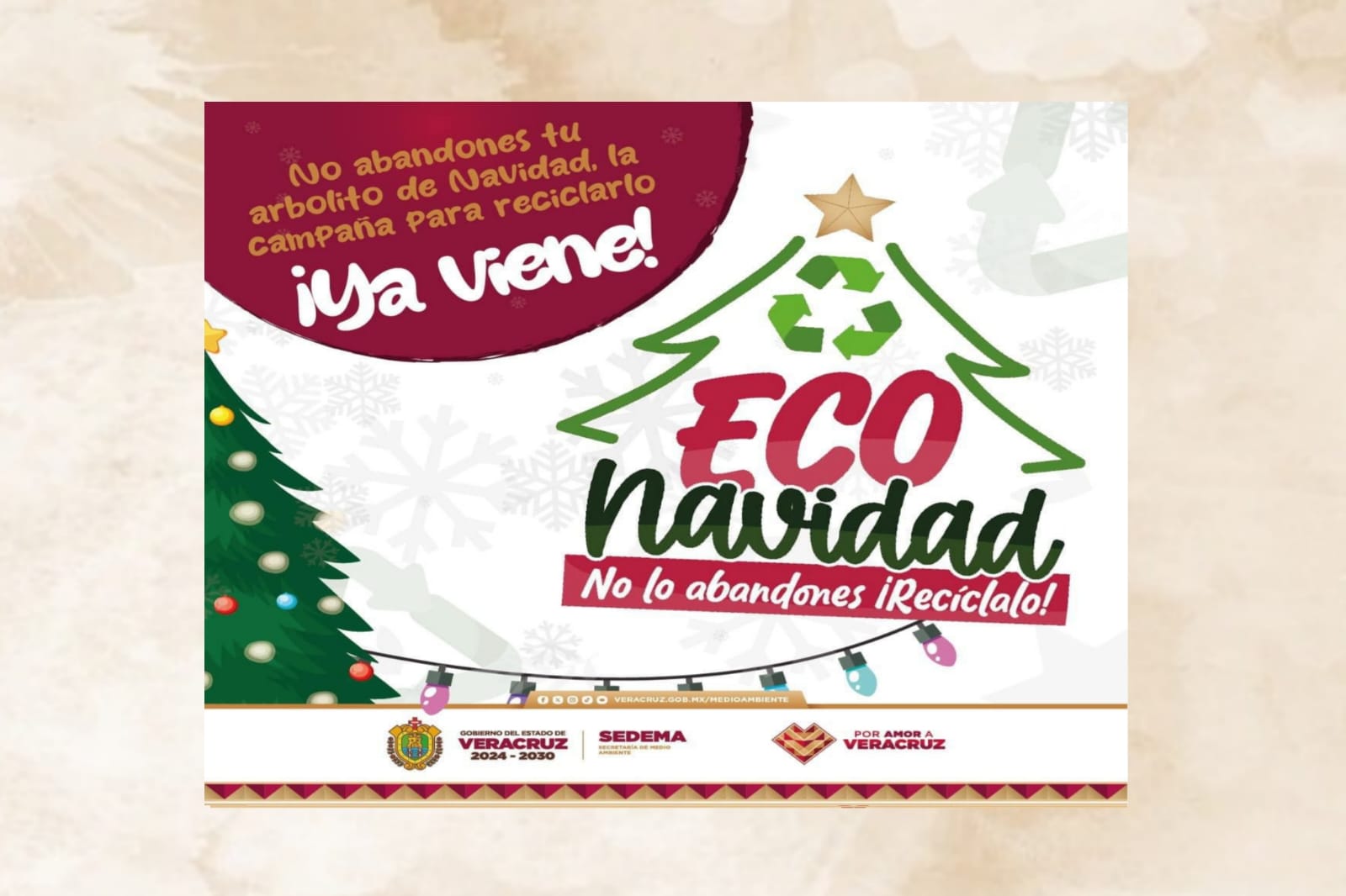 Veracruz promueve el reciclaje con la campaña Eco Navidad: ¡participa y cuida el ambiente!