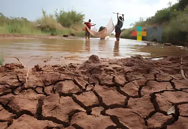 Hasta marzo un pronóstico preciso sobre las sequías en 2025
