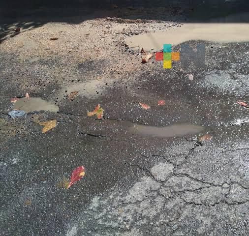 Incremento de baches en zona de mercados en el Puerto de Veracruz