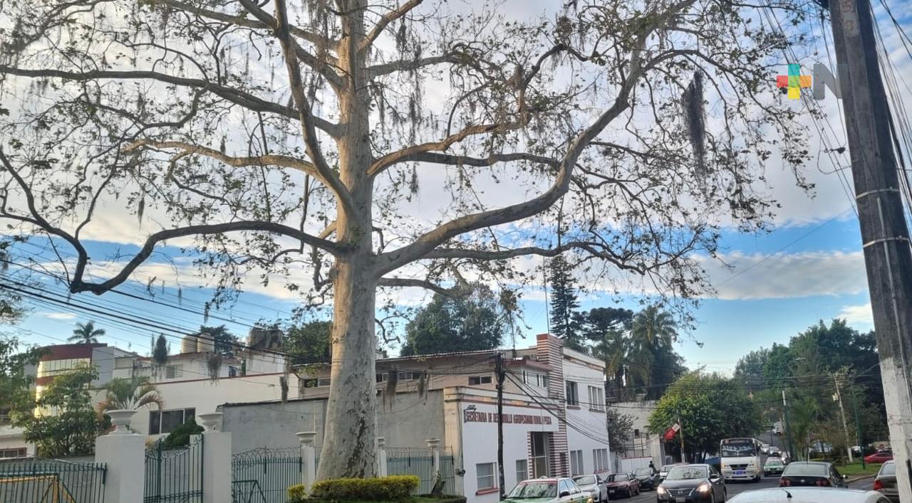 Cielo medio nublado a nublado con probabilidad de nieblas y lloviznas
