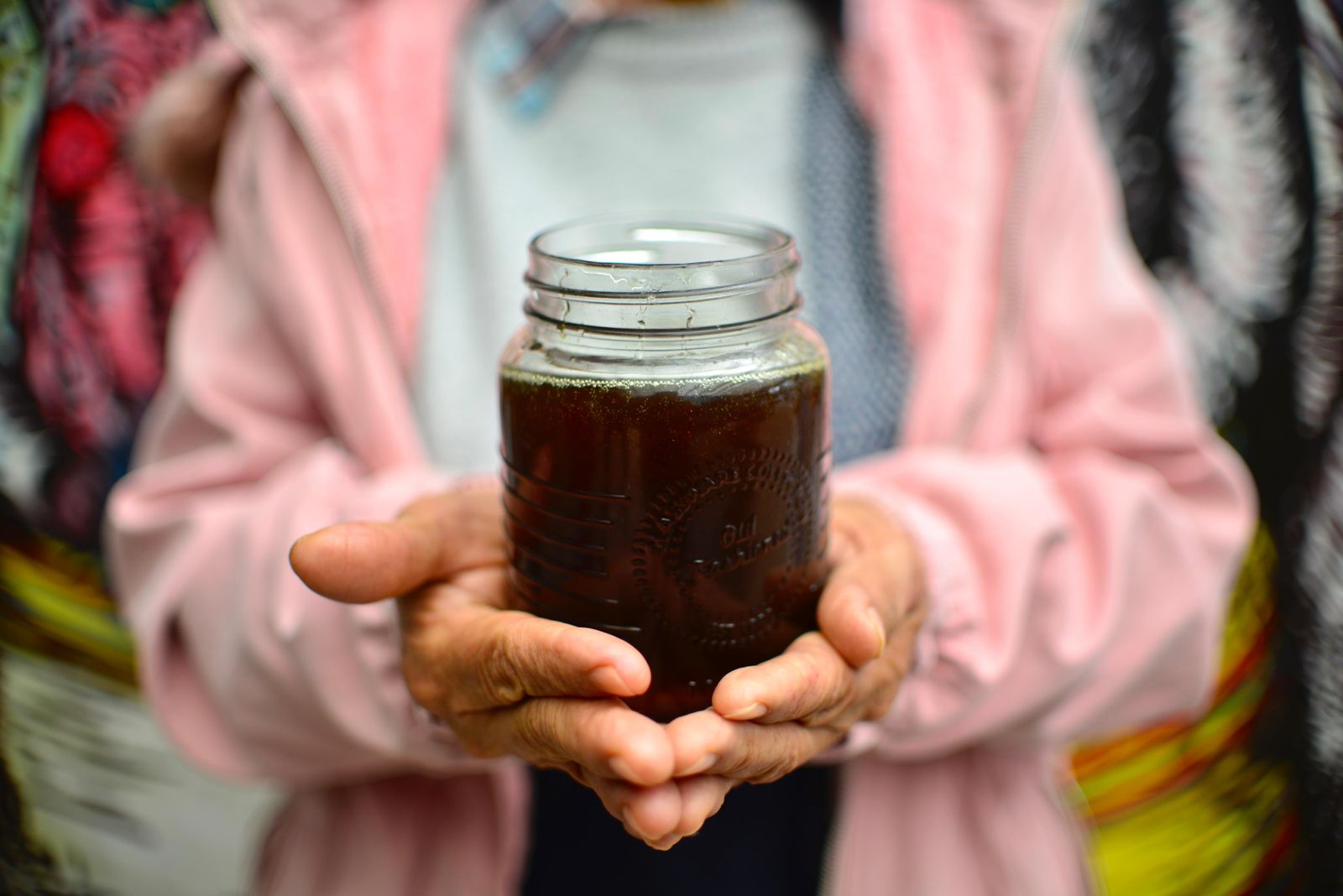 Tomillo, planta ancestral útil en el manejo de enfermedades respiratorias