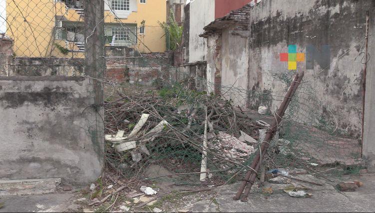 Denuncian basurero clandestino en colonia Flores Magón de Veracruz puerto